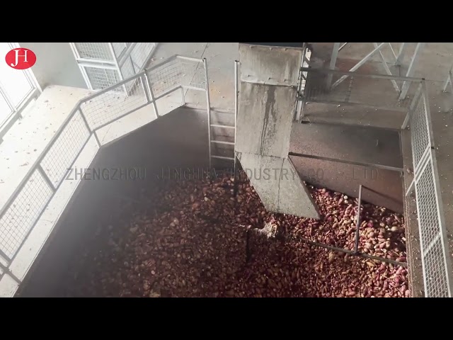 ΚΙΝΑ SS που καθαρίζει το άμυλο γλυκών πατατών που κατασκευάζει τη μηχανή 25t/H 18.5kw προς πώληση