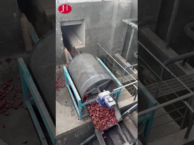 ΚΙΝΑ PLC控制红薯淀粉加工机，提供工业应用的清洗、研磨、包装加工类型 προς πώληση